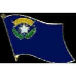 NEVADA PIN STATE FLAG PIN
